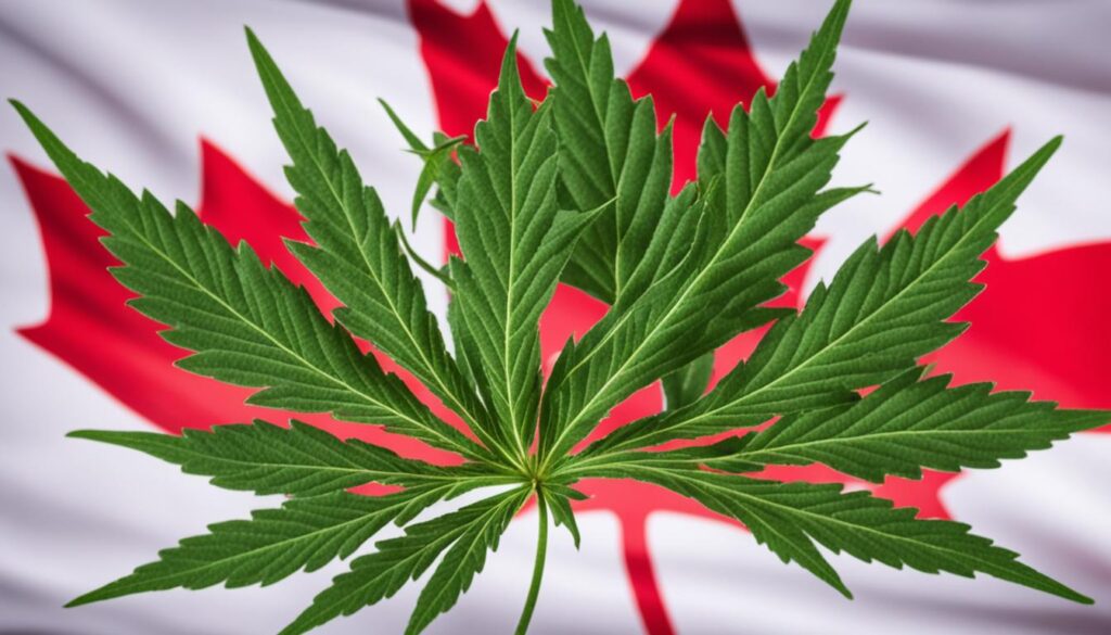 CBD legal en Canadá