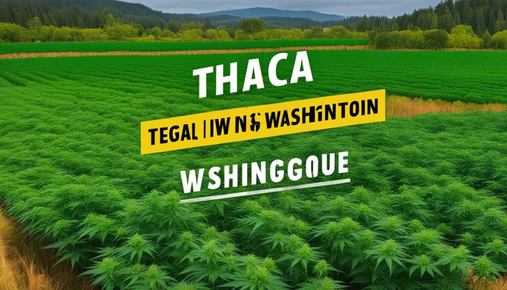 Regulaciones de la flor THCa en Washington