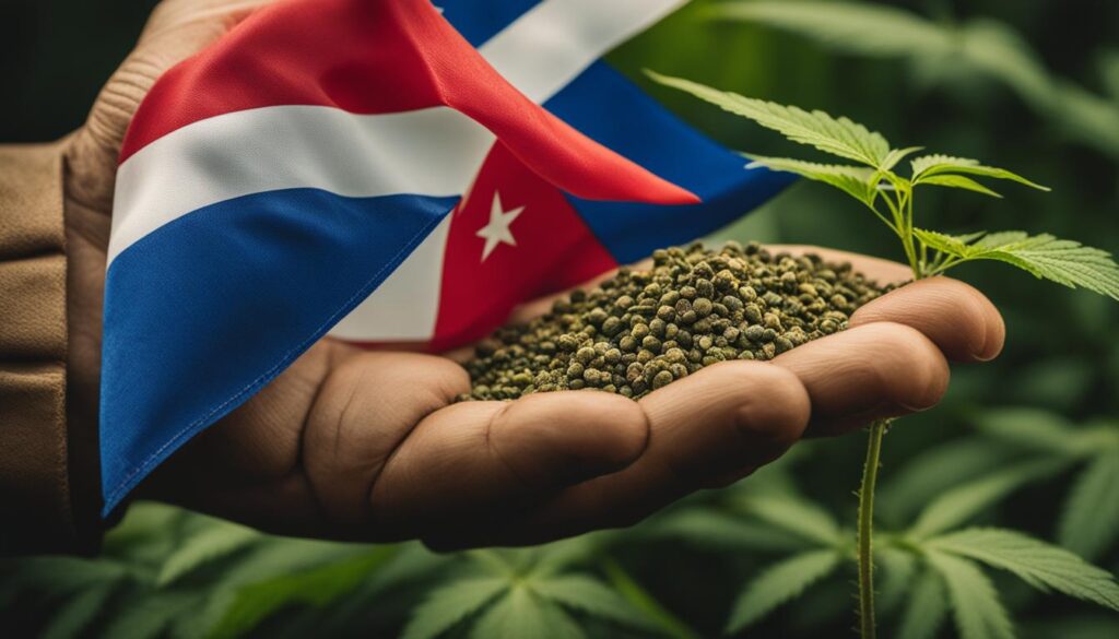 is buying marijuana seeds legal in Cuba