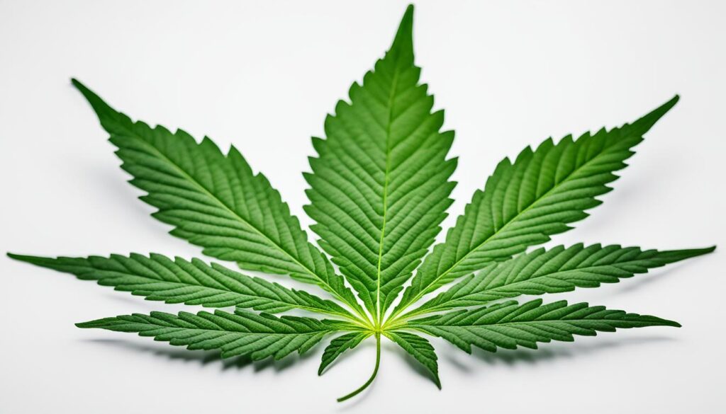 marijuana laws arkansas