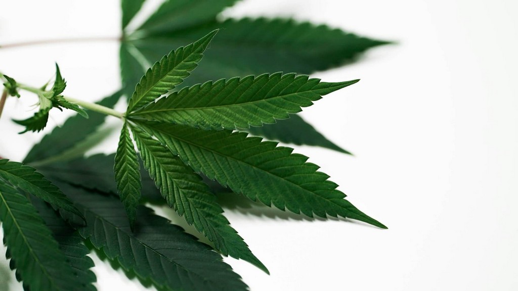 marijuana laws illinois