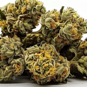 Semillas OG Kush